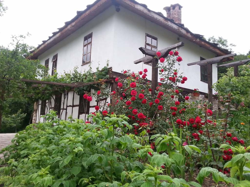 Къща За Гости Ножери Tryavna Extérieur photo