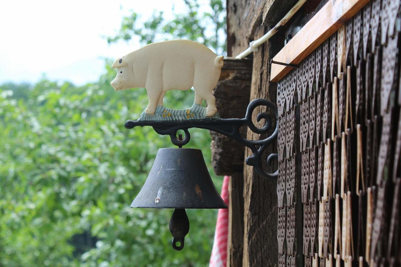 Къща За Гости Ножери Tryavna Extérieur photo